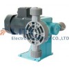 计量泵/ TOPmt卧式电机驱动计量泵/水质监测仪